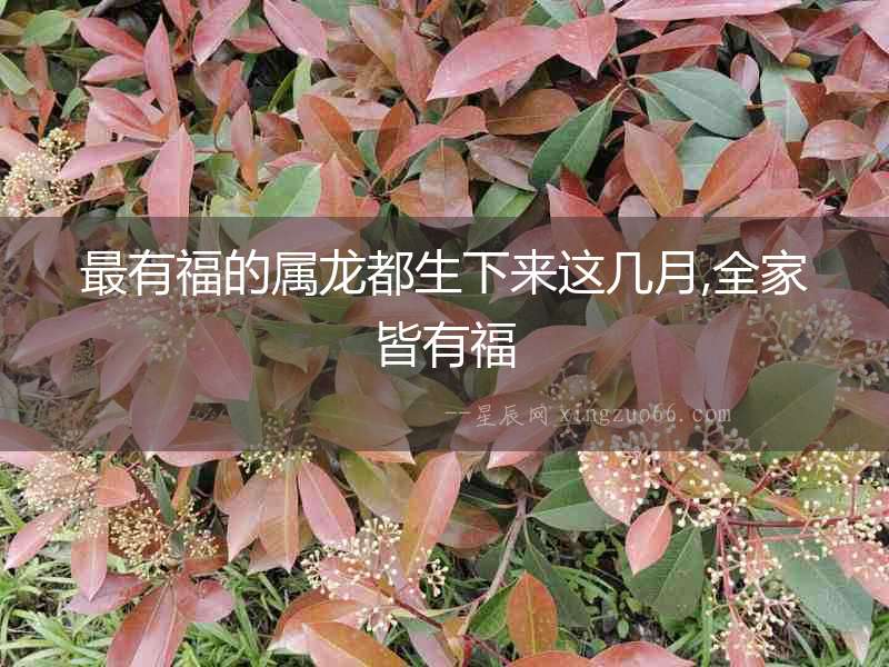 最有福的屬龍都生下來這幾月,全家皆有福