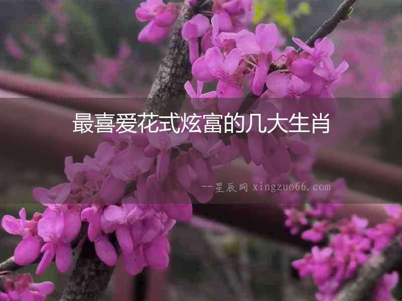 最喜愛(ài)花式炫富的幾大生肖