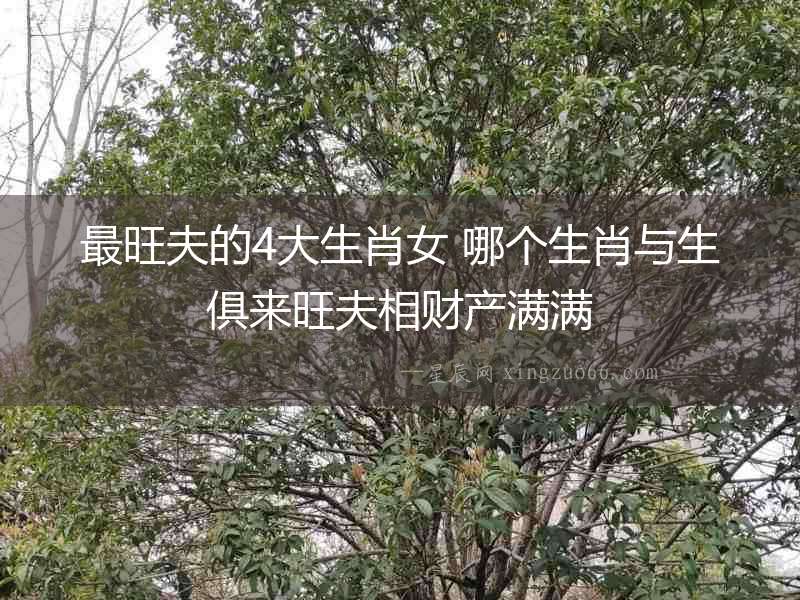 最旺夫的4大生肖女 哪個生肖與生俱來旺夫相財產滿滿