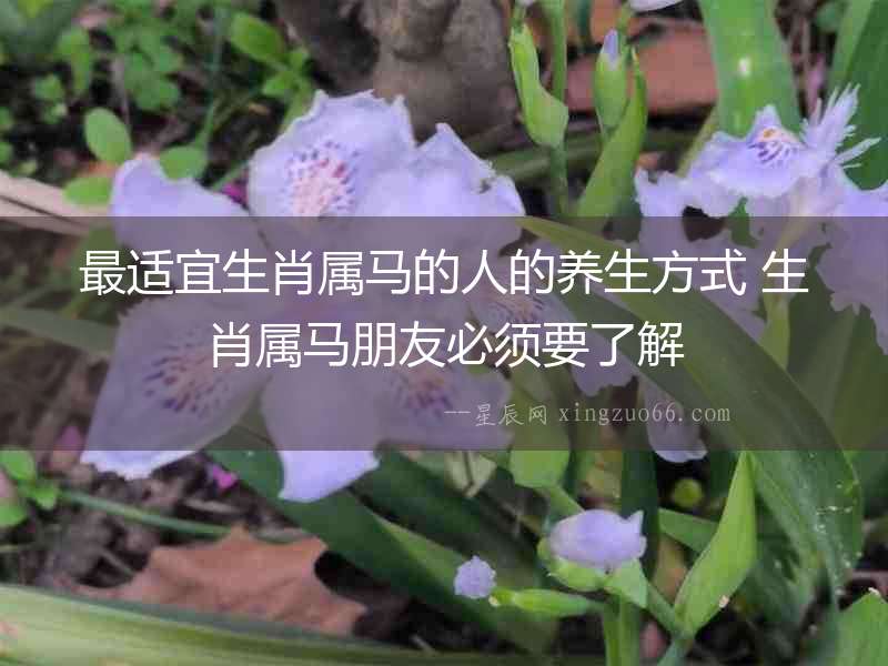 最適宜生肖屬馬的人的養生方式 生肖屬馬朋友必須要了解