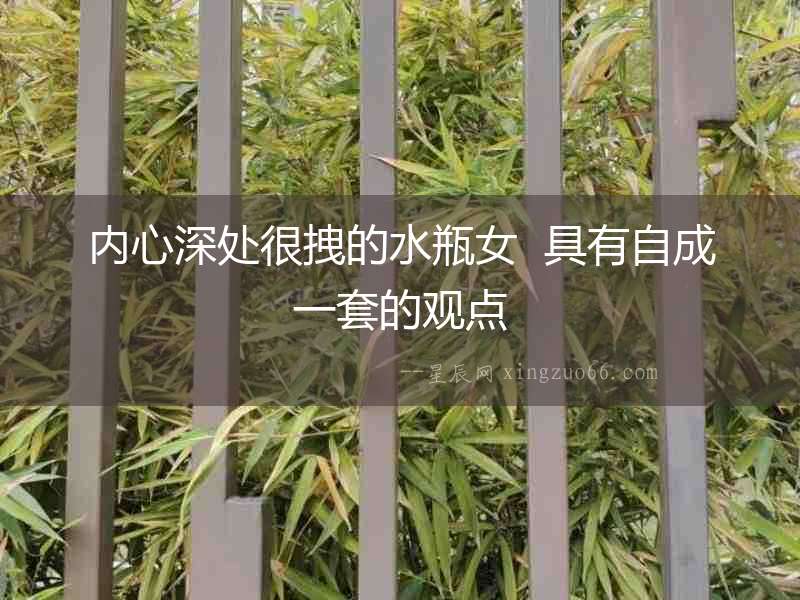 內(nèi)心深處很拽的水瓶女  具有自成一套的觀點