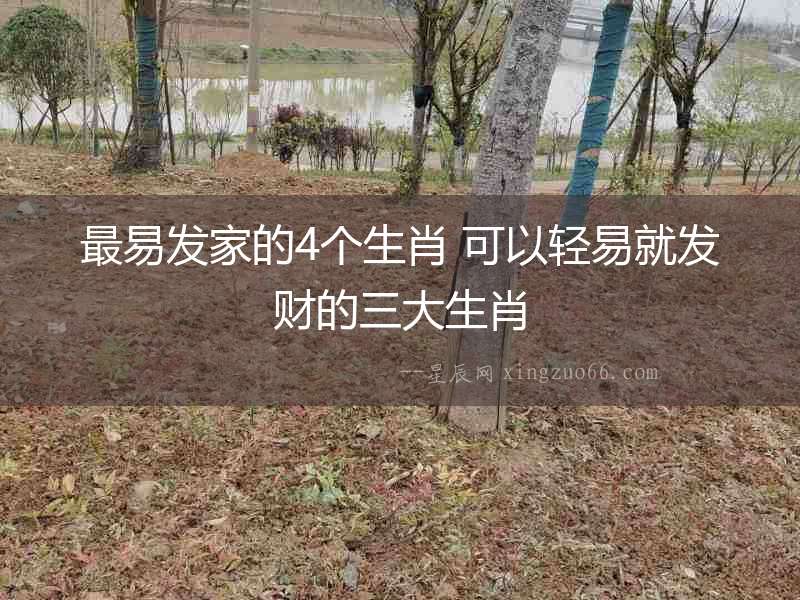 最易發家的4個生肖 可以輕易就發財的三大生肖