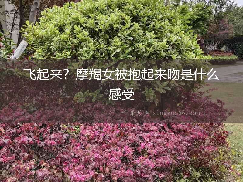 飛起來？摩羯女被抱起來吻是什么感受