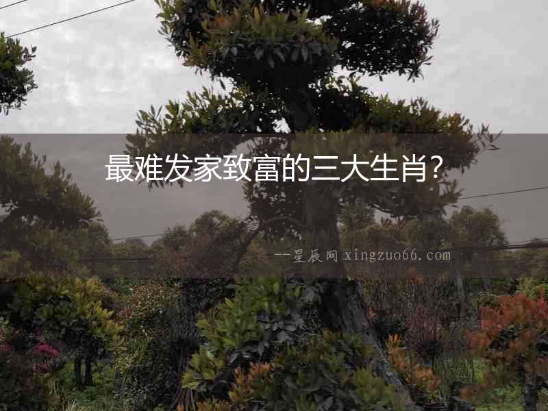 最難發家致富的三大生肖？