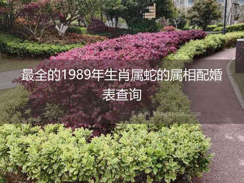 最全的1989年生肖屬蛇的屬相配婚表查詢