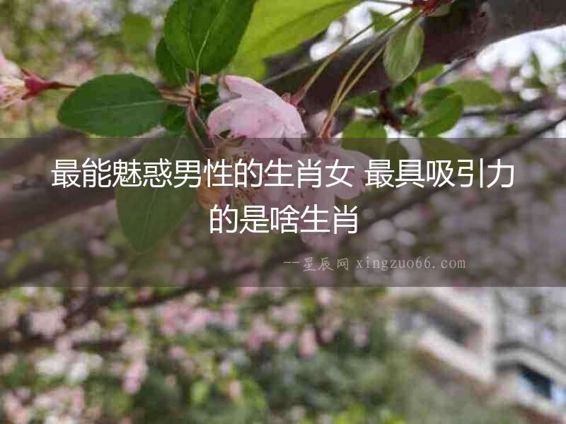 最能魅惑男性的生肖女 最具吸引力的是啥生肖
