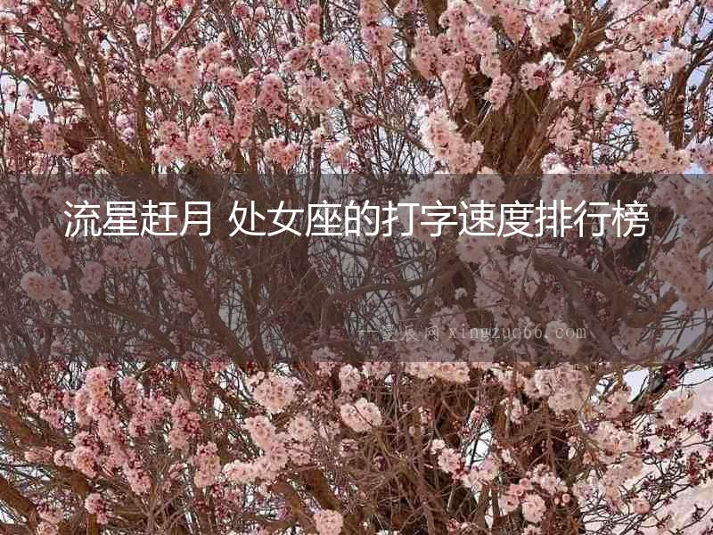 流星趕月 處女座的打字速度排行榜