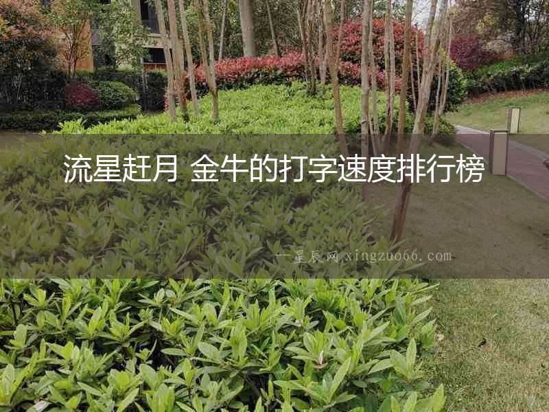 流星趕月 金牛的打字速度排行榜