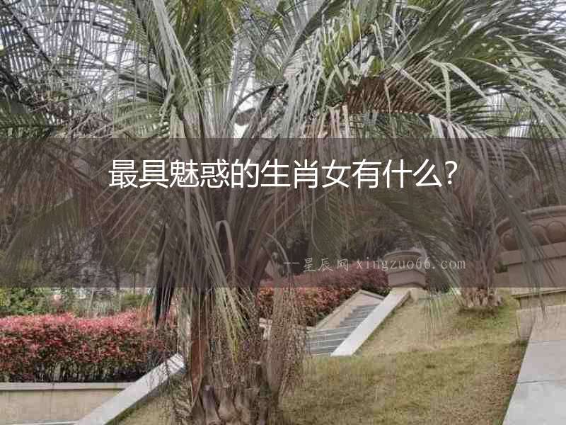 最具魅惑的生肖女有什么？
