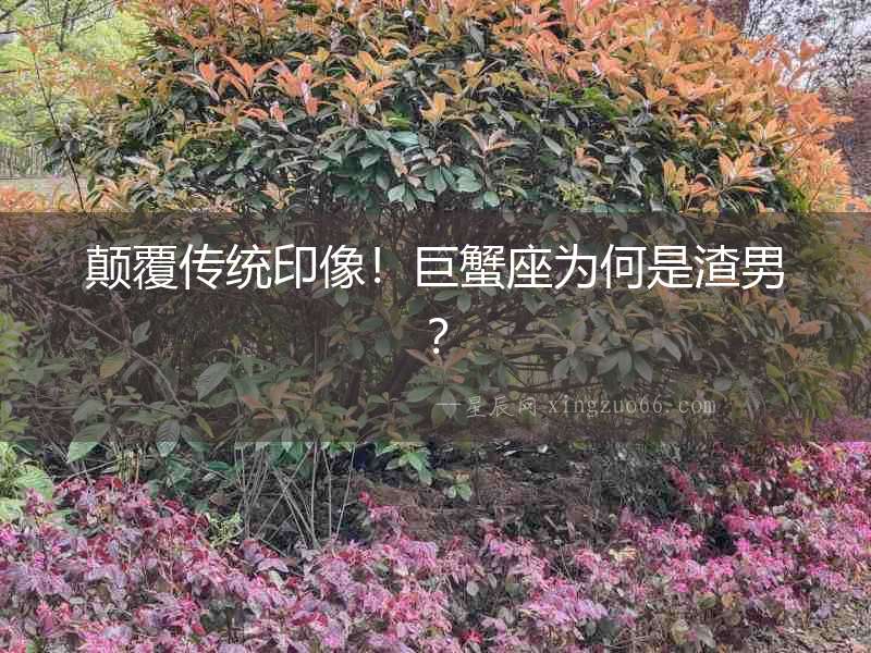 顛覆傳統印像！巨蟹座為何是渣男？
