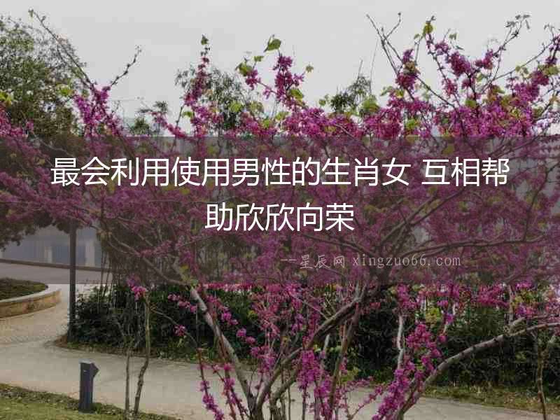 最會利用使用男性的生肖女 互相幫助欣欣向榮