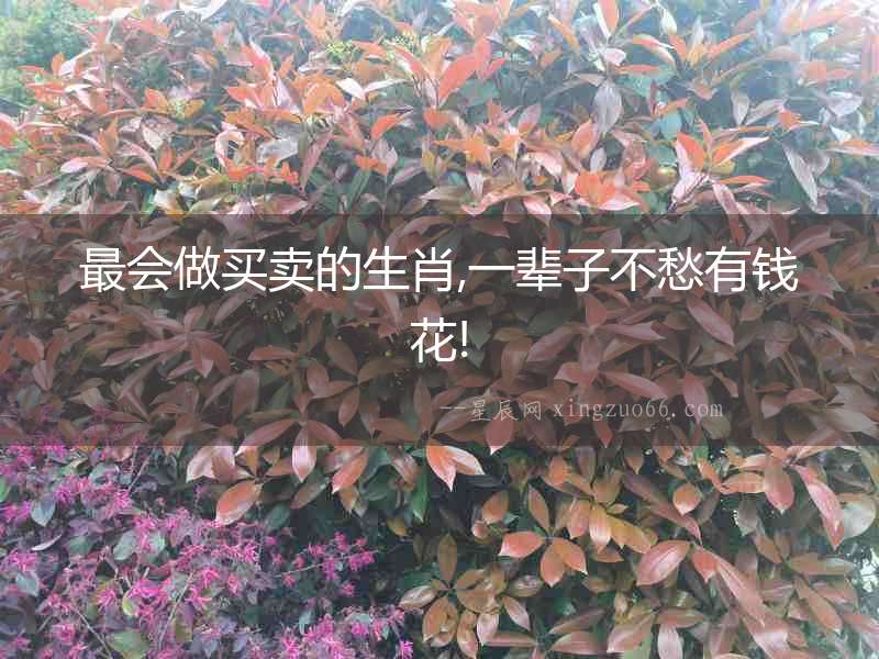 最會(huì)做買賣的生肖,一輩子不愁有錢花!