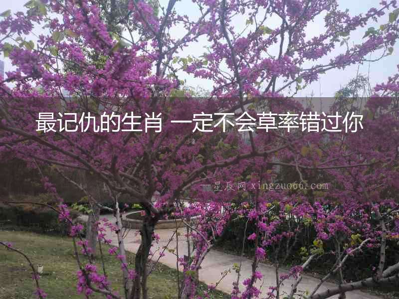 最記仇的生肖 一定不會草率錯過你