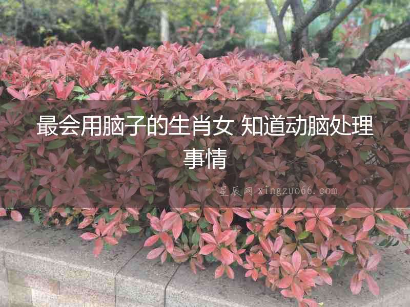 最會用腦子的生肖女 知道動腦處理事情
