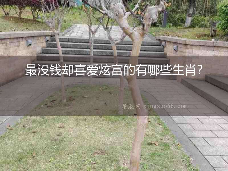 最沒錢卻喜愛炫富的有哪些生肖？