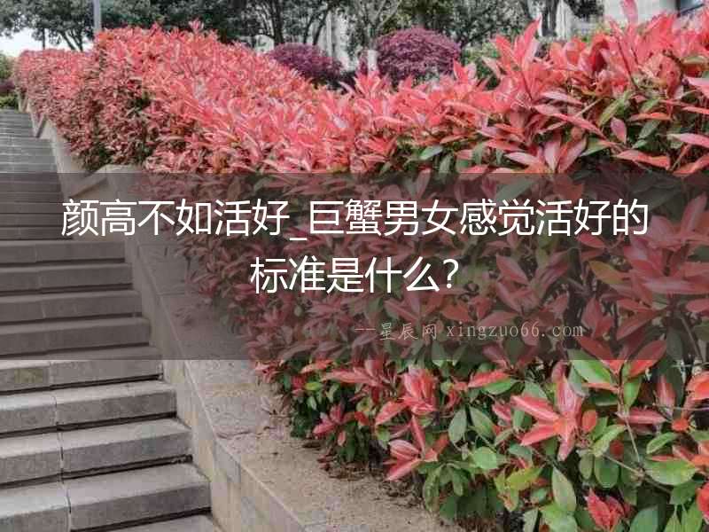 顏高不如活好_巨蟹男女感覺活好的標準是什么？