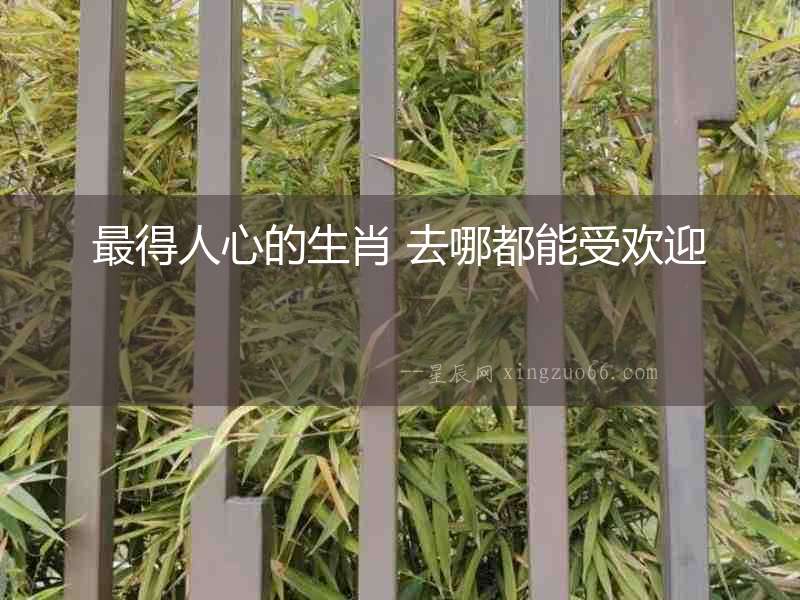 最得人心的生肖 去哪都能受歡迎