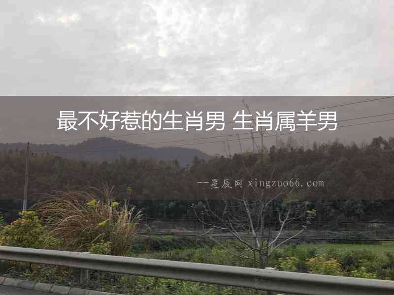 最不好惹的生肖男 生肖屬羊男