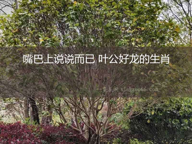 嘴巴上說說而已 葉公好龍的生肖