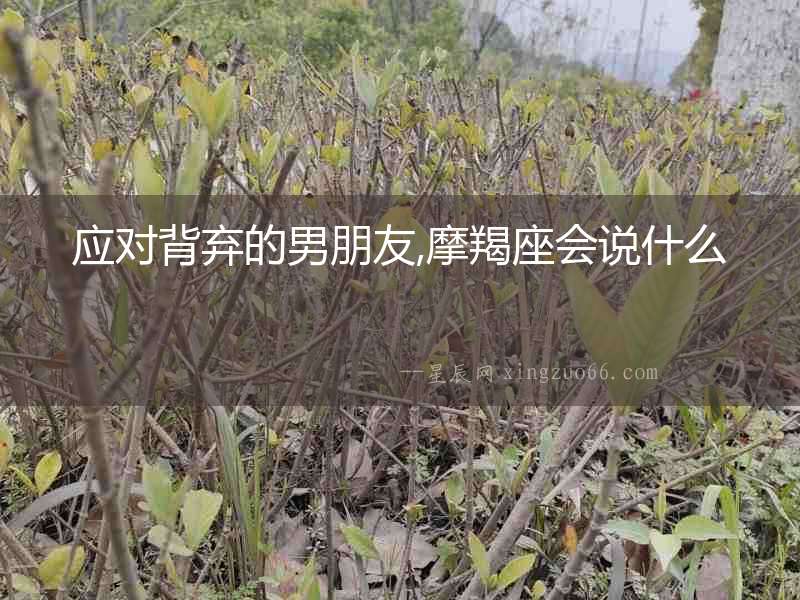 應對背棄的男朋友,摩羯座會說什么