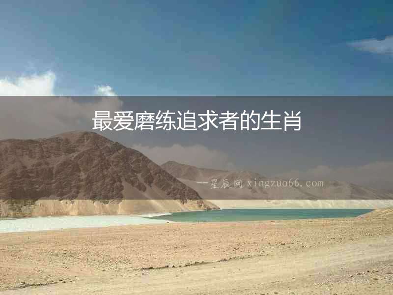 最愛磨練追求者的生肖