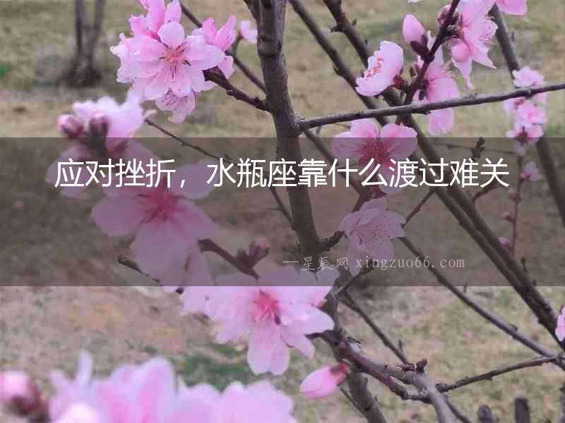 應對挫折，水瓶座靠什么渡過難關