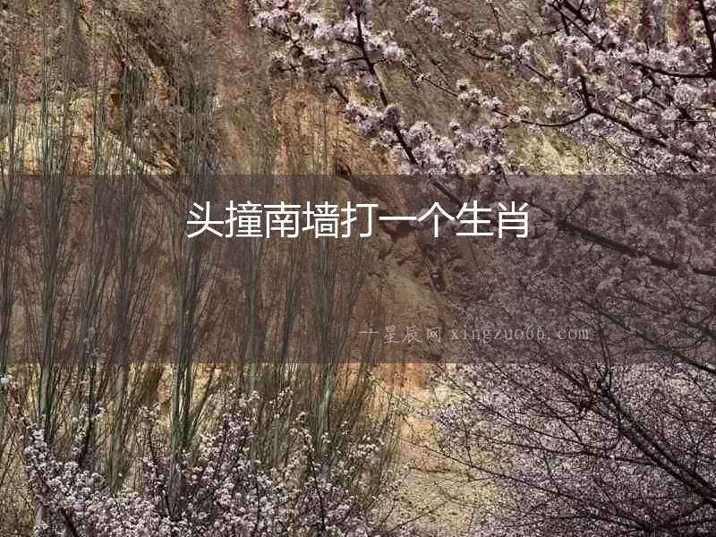 頭撞南墻打一個(gè)生肖