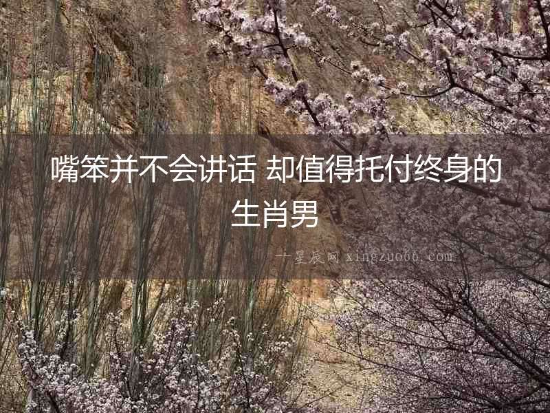 嘴笨并不會(huì)講話 卻值得托付終身的生肖男