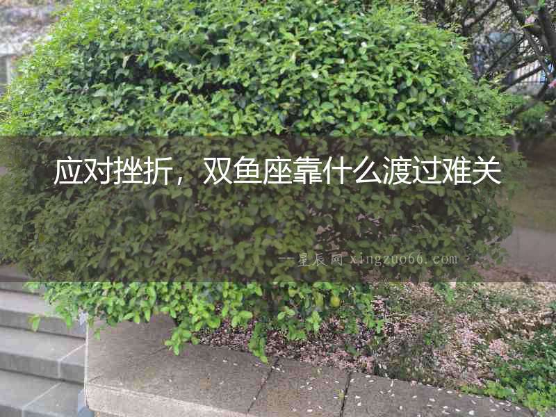應對挫折，雙魚座靠什么渡過難關
