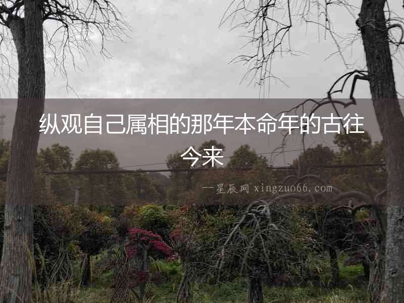 縱觀自己屬相的那年本命年的古往今來