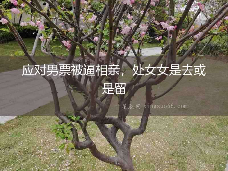 應對男票被逼相親，處女女是去或是留