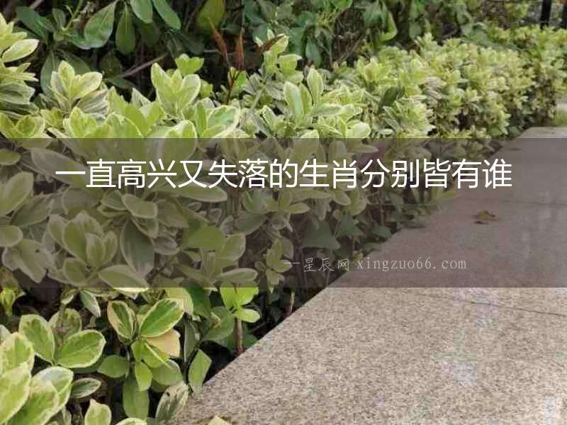 一直高興又失落的生肖分別皆有誰(shuí)