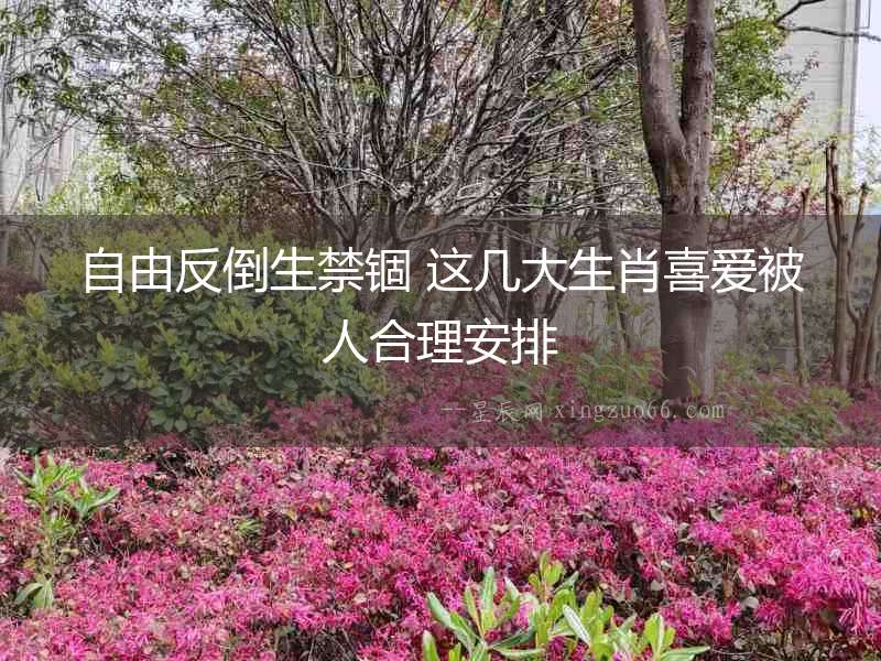 自由反倒生禁錮 這幾大生肖喜愛被人合理安排