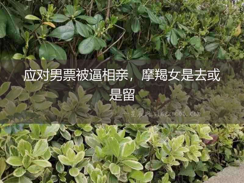 應(yīng)對男票被逼相親，摩羯女是去或是留