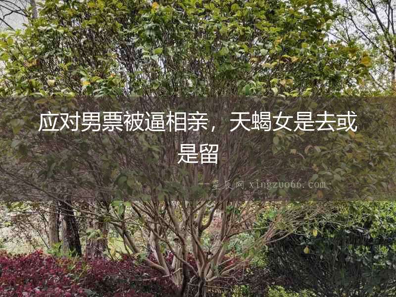 應對男票被逼相親，天蝎女是去或是留