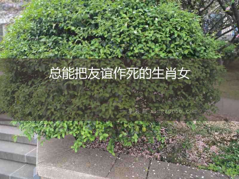 總能把友誼作死的生肖女