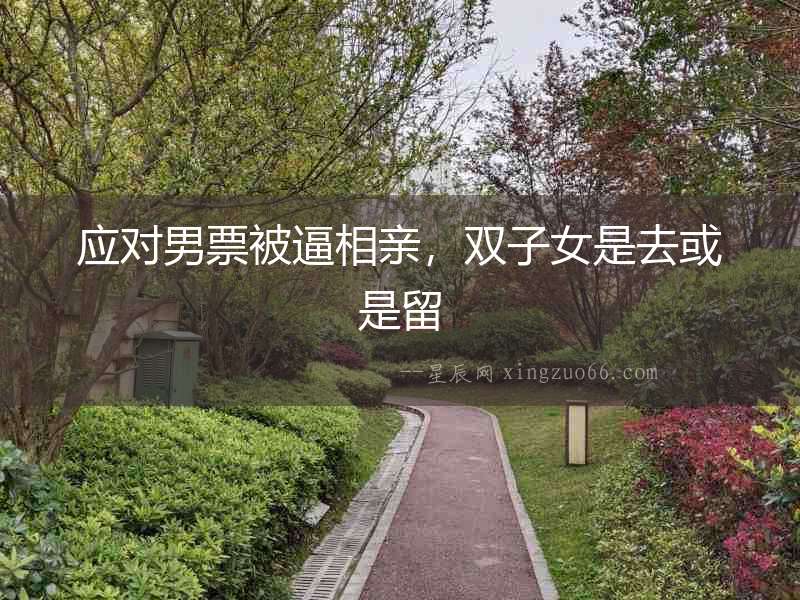 應對男票被逼相親，雙子女是去或是留