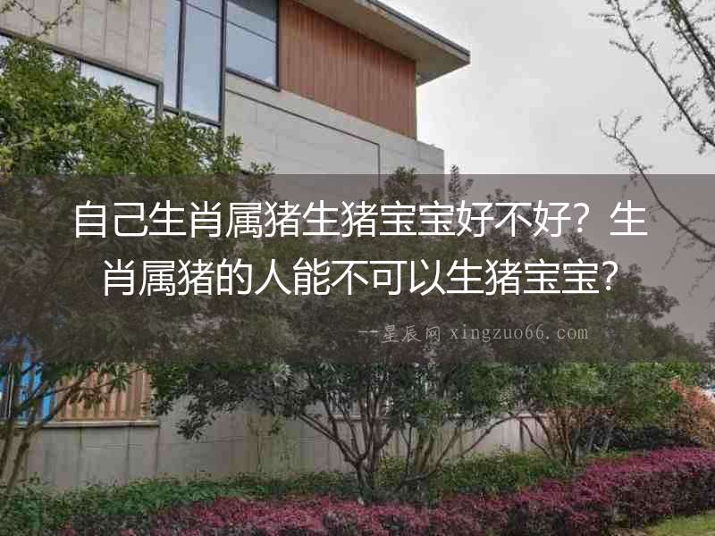 自己生肖屬豬生豬寶寶好不好？生肖屬豬的人能不可以生豬寶寶？
