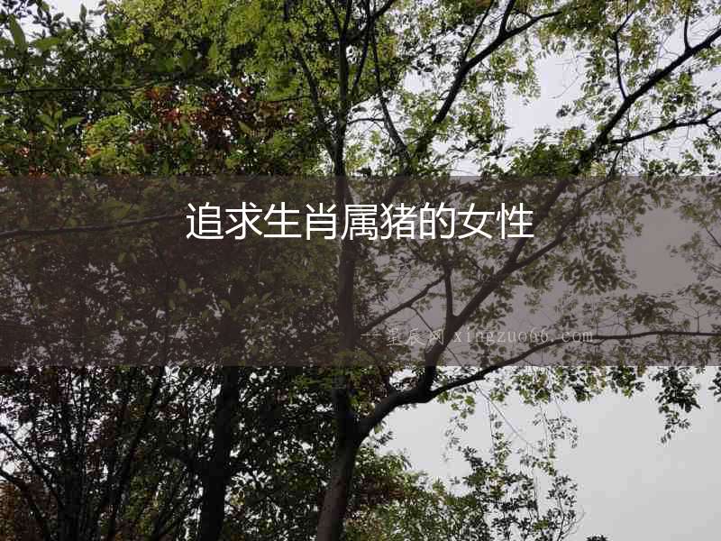 追求生肖屬豬的女性