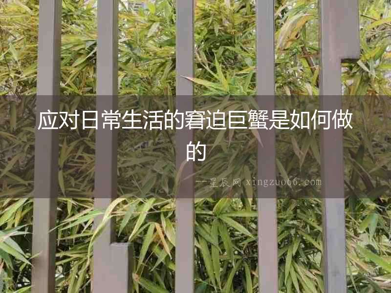 應對日常生活的窘迫巨蟹是如何做的