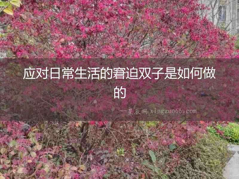 應對日常生活的窘迫雙子是如何做的