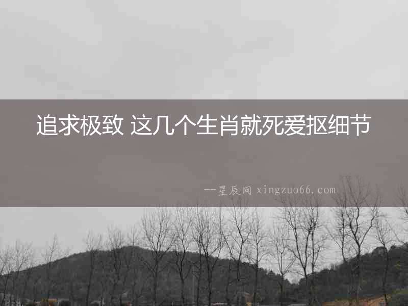 追求極致 這幾個生肖就死愛摳細節