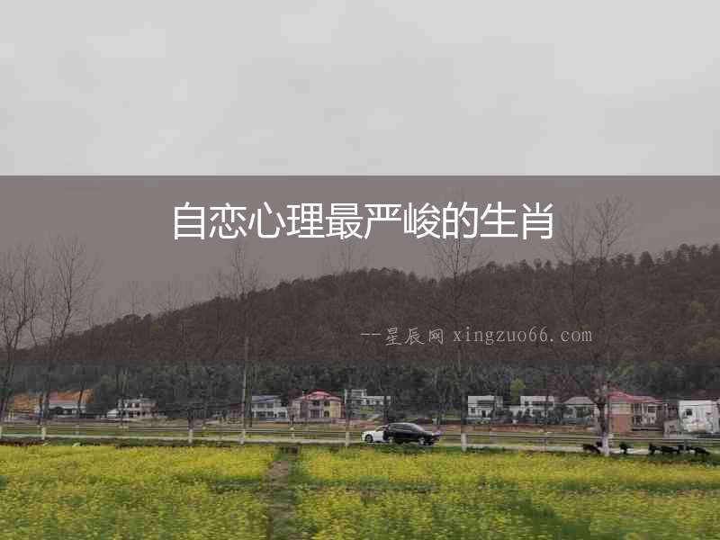 自戀心理最嚴峻的生肖