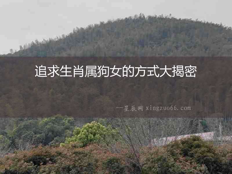 追求生肖屬狗女的方式大揭密