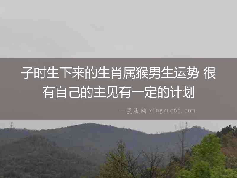 子時生下來的生肖屬猴男生運勢 很有自己的主見有一定的計劃