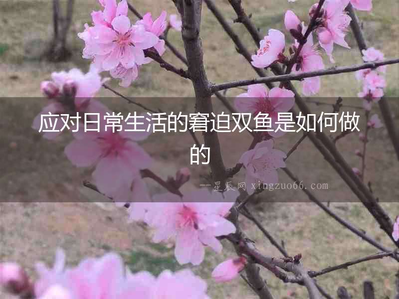 應(yīng)對(duì)日常生活的窘迫雙魚是如何做的