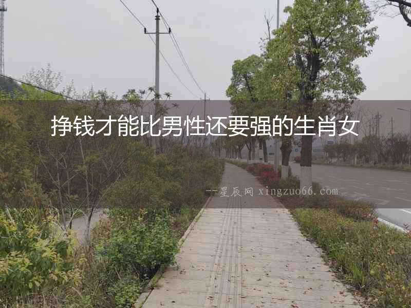 掙錢才能比男性還要強的生肖女