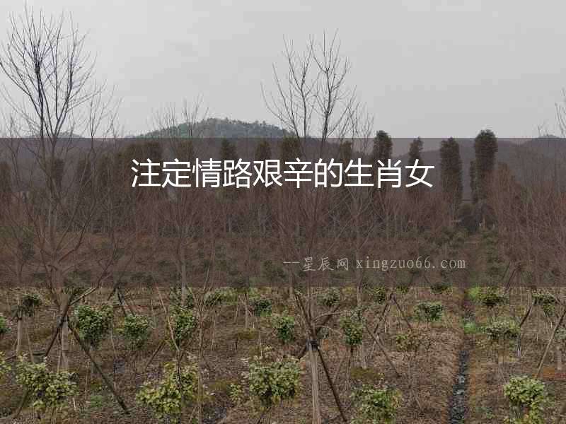 注定情路艱辛的生肖女