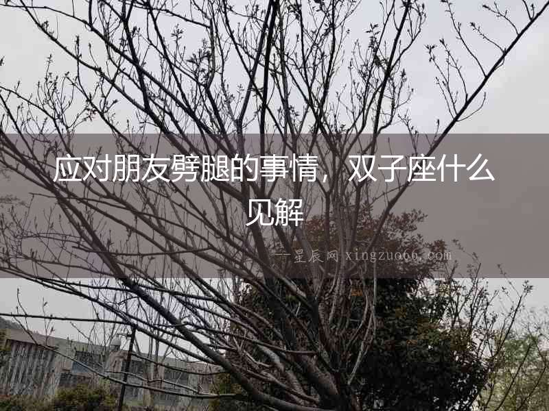 應(yīng)對朋友劈腿的事情，雙子座什么見解