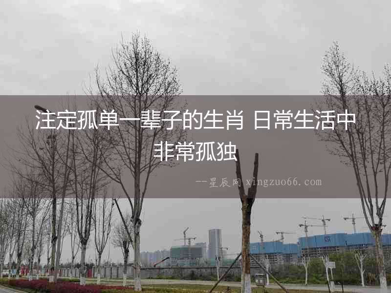 注定孤單一輩子的生肖 日常生活中非常孤獨